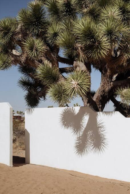 Villa Le Chacuel à Joshua Tree Extérieur photo